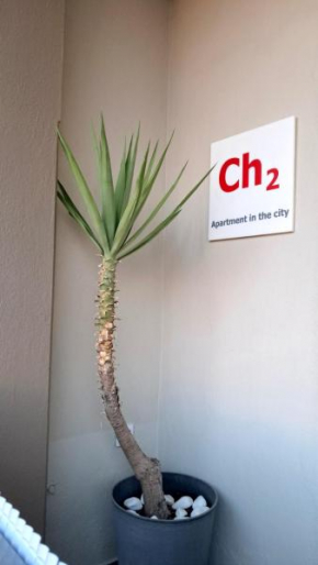 ch2 apartment in the city